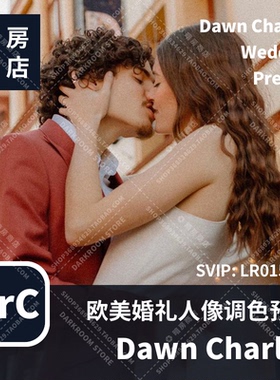 暗房商店 欧美婚礼人像摄影师 Dawn Charles 调色预设 DC Presets