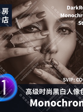暗房商店 Monochrome Styles 高级时尚黑白色调C1样式预设Mac/Win