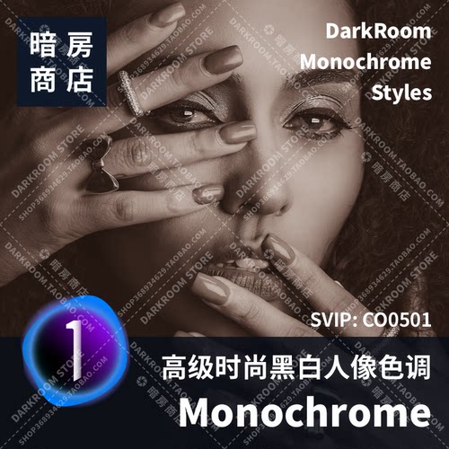 暗房商店 Monochrome Styles 高级时尚黑白色调C1样式预设Mac/Win