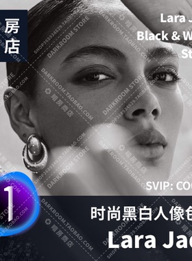 Lara Jade B&W Styles 暗房商店高级时尚黑白色调 飞思C1样式预设