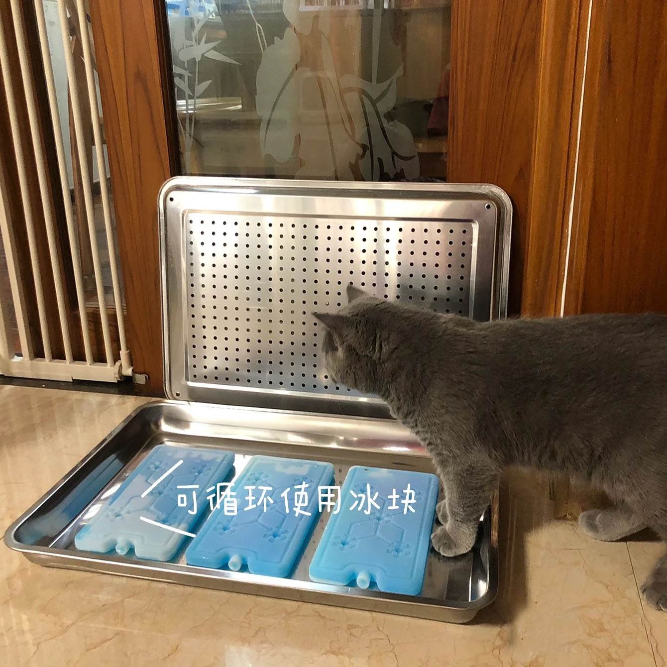 猫咪冰窝宠物降温板兔子龙猫空调屋散热板夏天消暑不锈钢冰床冰垫