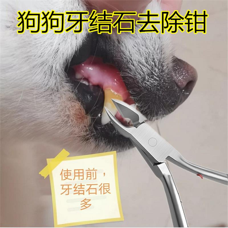 宠物用品钳子狗牙结石去除