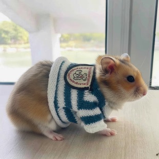 荷兰猪豚鼠衣服专用蜜袋鼯龙猫松鼠外出秋冬天保暖侏儒兔过冬神器