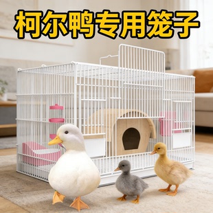 柯尔鸭专用笼子养小鸭子小鸡别墅笼大号家用室内芦丁鸡笼房子屋窝