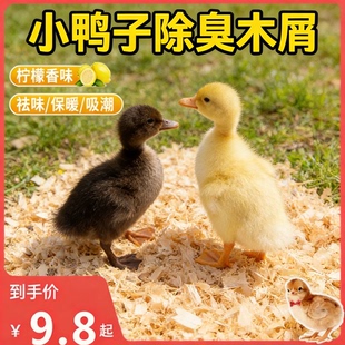 小鸭子除臭木屑小鸡发酵床柯尔鸭垫料分解粪便屎尿芦丁鸡宠物去味