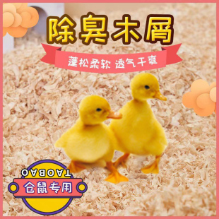 小鸭子除臭木屑小鸡发酵床柯尔鸭垫料分解粪便屎尿芦丁鸡宠物去味