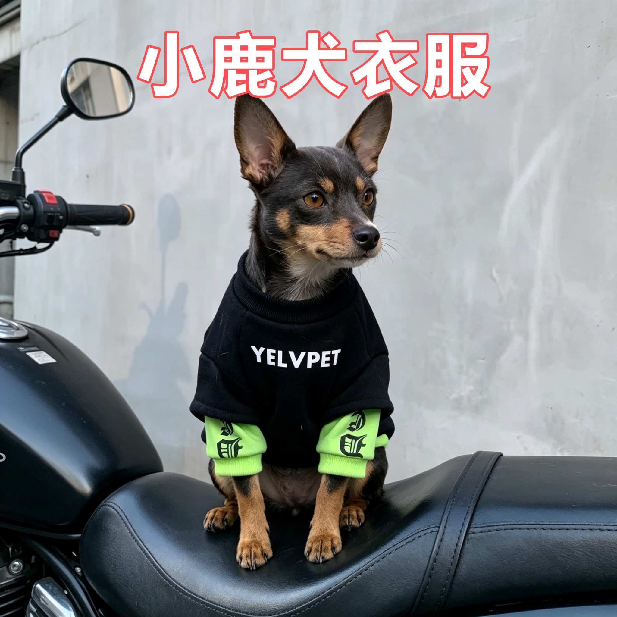 小鹿犬专用秋冬狗狗潮牌衣服布偶猫蓝猫防掉毛小型犬宠物加绒卫衣