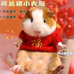 过节宠物荷兰猪衣服喜庆可爱超小码四季款侏儒兔豚鼠龙猫过冬神器