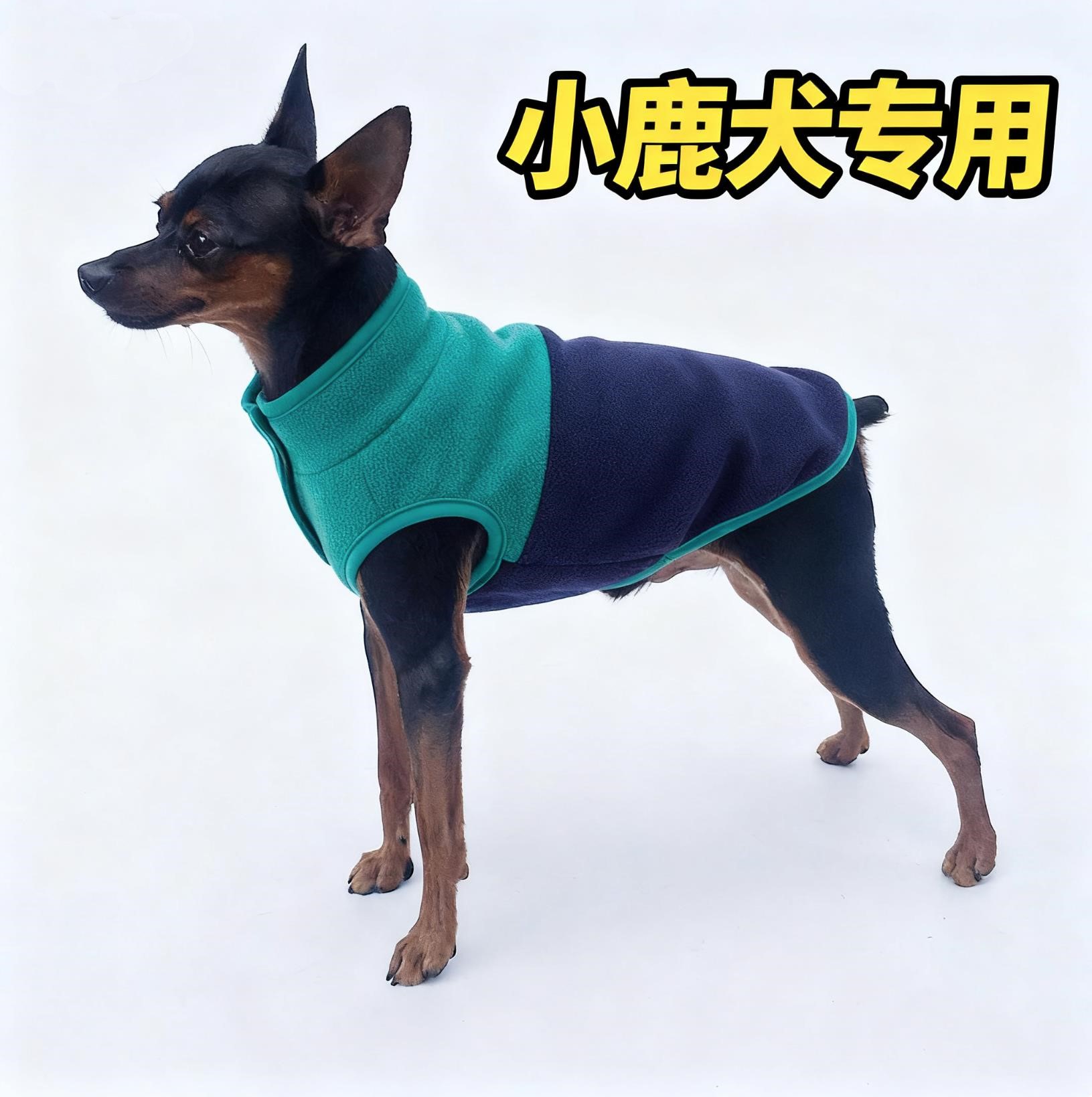 小鹿犬专用过冬衣服狗狗2025新款迷你小体冬天加绒马甲背心一斤