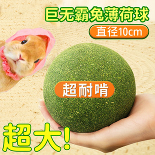 垂耳兔用品大全兔子草球超大解闷玩具耐啃咬化毛小侏儒兔龙猫荷兰