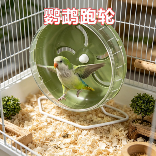 鹦鹉专用静音跑轮金丝熊跑步机解闷自嗨神器转滚轮跑球造景用品