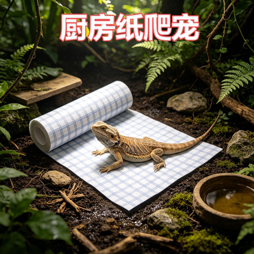 鬃狮蜥专用厨房垫纸爬宠加厚加大一次性干湿两用无纺布丰荣尿垫