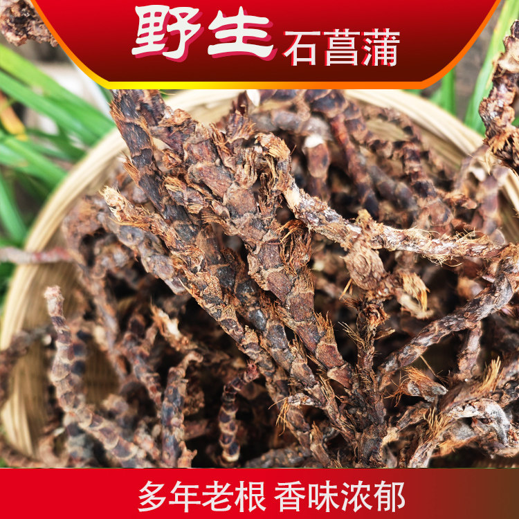 石菖蒲中药材野生石蒲根九节石菖蒲根野生石菖蒲整条正品石菖蒲