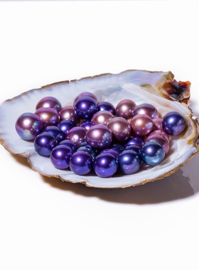 单珠河蚌爱迪生 天然珍珠一蚌一珠天然直播活体开蚌取珍珠紫色