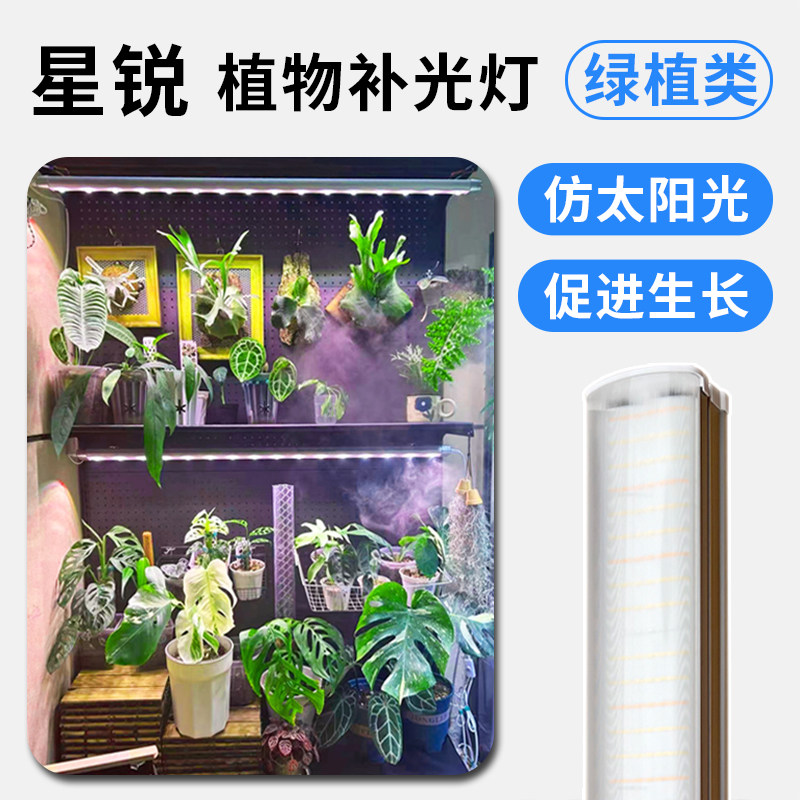 星锐植物补光灯 家用热植室内 全光谱led绿植生长灯 仿太阳光花卉,家装灯饰光源,植物生长灯,淘宝优惠券,粉丝福利购,淘宝优惠卷