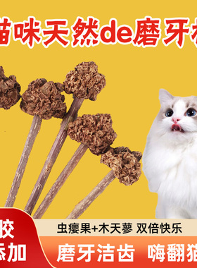 MAJA新品猫咪磨牙棒虫瘿果逗猫棒猫薄荷磨牙洁齿自嗨解闷撸猫玩具