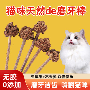 MAJA新品猫咪磨牙棒虫瘿果逗猫棒猫薄荷磨牙洁齿自嗨解闷撸猫玩具