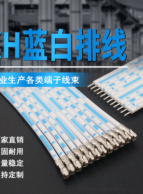 XH2.54端子线TJC3 蓝白红白排线 12P压端子不穿胶壳12排 线束加工