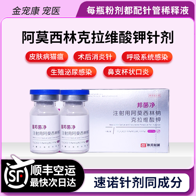 阿莫西林克拉维酸钾口炎鼻支肺炎