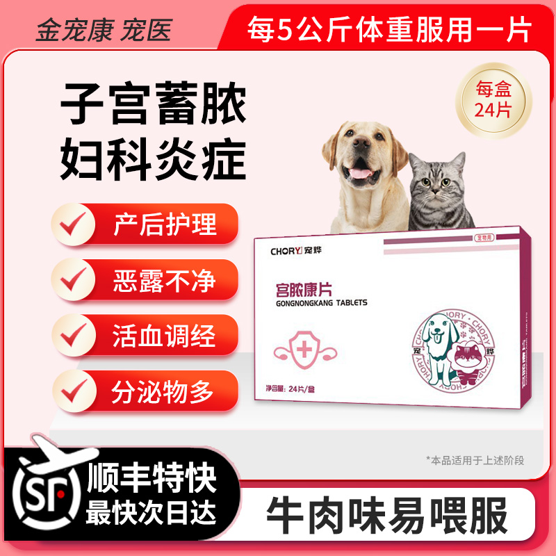 宫脓康清益母草子宫蓄脓