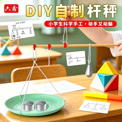 自制简易杆秤初中物理实验器材秤砣初二下册八年级人教版称力学杠杆平衡条件原理DIY材料包教学仪器教具