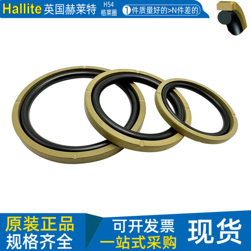 英国赫莱特H54四氟格莱圈活塞封