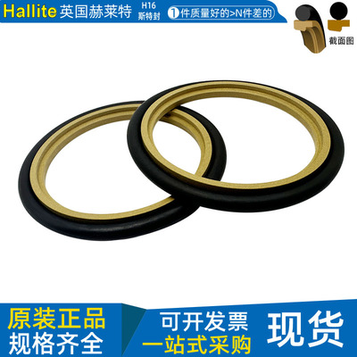 英国赫莱特H16四氟斯特封密封圈