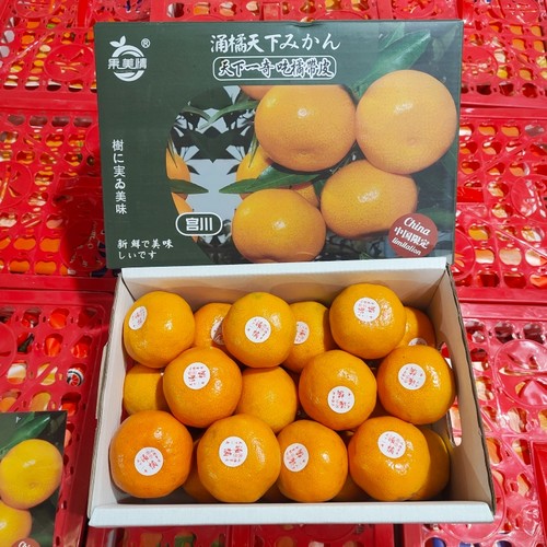 涌泉蜜橘高山小桔子新鲜水果宫川蜜桔甜嫩多汁皮薄味浓无籽包邮