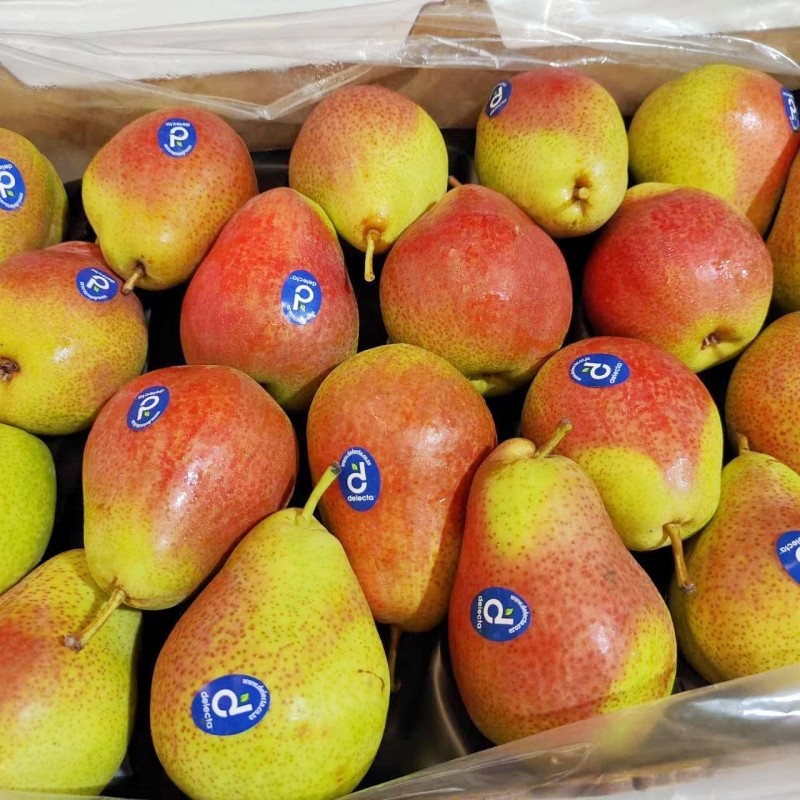 南非进口彩啤梨8斤装红啤梨当季新鲜水果软糯香甜多汁彩皮梨子