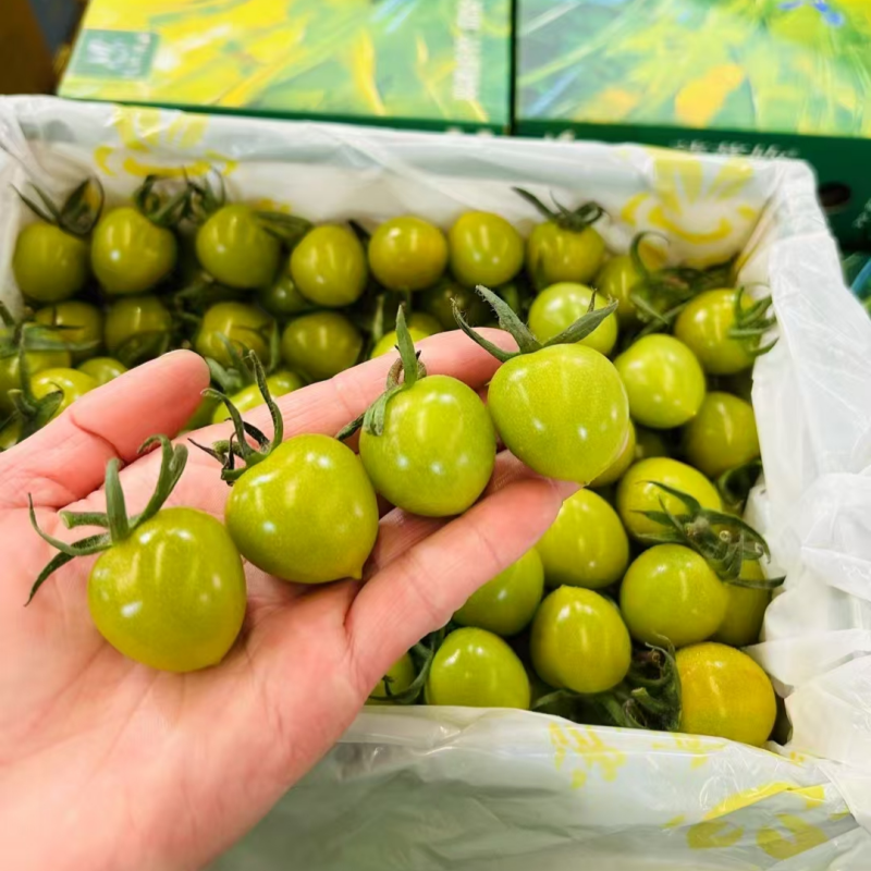 禧番你翡翠蜜绿番茄礼盒装新鲜千禧圣女果釜山小番茄纯甜多汁顺丰