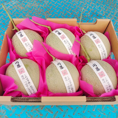 现货冈藤蜜瓜6个装静冈牛三网纹瓜当季新鲜水果海南玫珑蜜瓜包邮