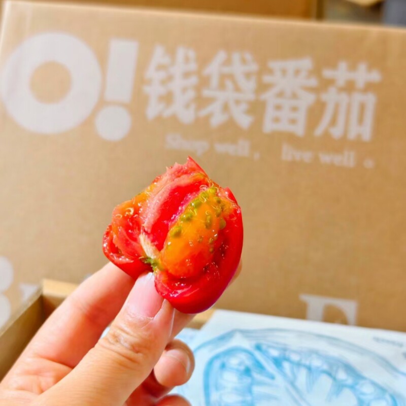 日本品种钱袋番茄高糖番茄礼盒装3斤当季新鲜水果番茄味浓包邮