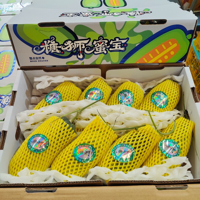糖狮蜜宝甜瓜羊角蜜甜瓜礼盒装新鲜水果博洋蜜瓜脆甜多汁小香瓜