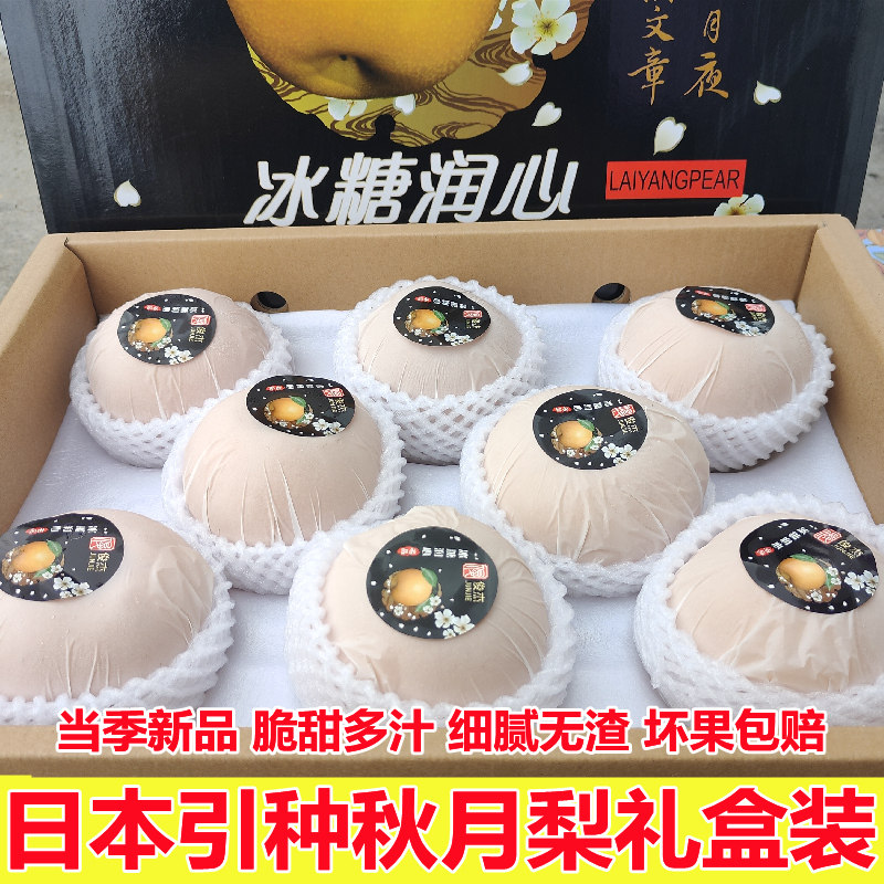 正宗冰糖秋月梨礼盒装8斤新鲜水果千玥梨莱阳梨细腻脆甜多汁包邮