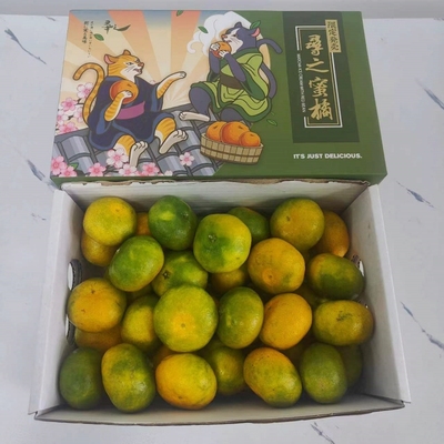 寻之蜜橘匠3斤甜嫩多汁皮薄无籽