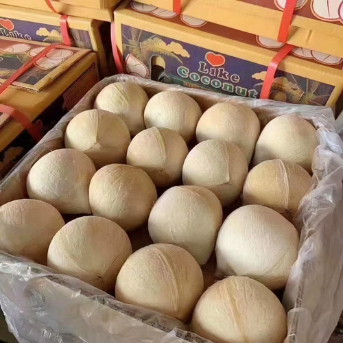 泰国新鲜椰皇整箱32个泰国牛奶椰