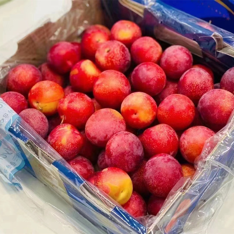 智利樱桃李5J礼盒装大果新鲜时令孕妇水果进口大李子5斤顺丰空运,水产肉类/新鲜蔬果/熟食,李子,淘宝优惠券,粉丝福利购,淘宝优惠卷