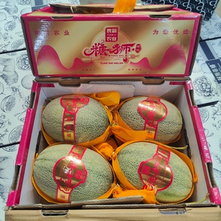 现货晓蜜哈密瓜礼盒装4颗12斤新鲜水果网纹瓜脆甜多汁西州蜜包邮