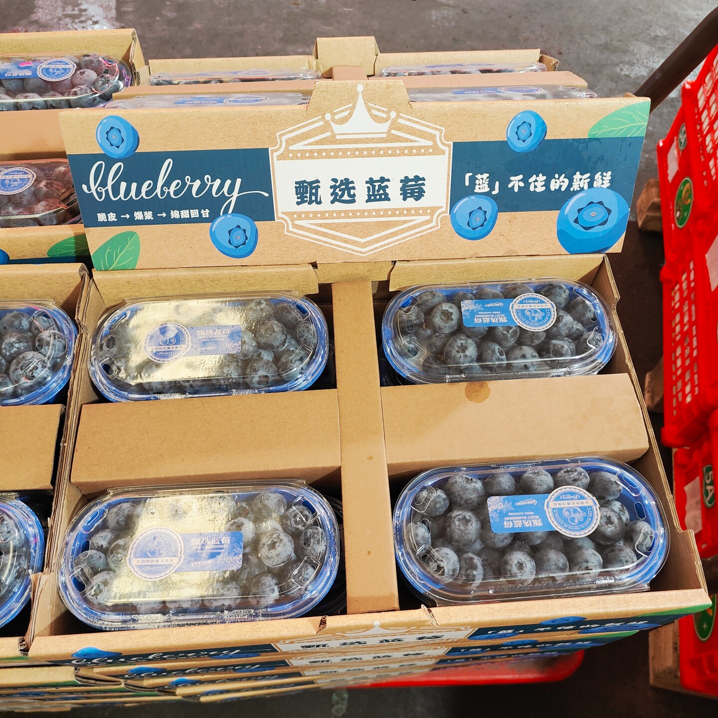 正宗云南大蓝莓甄选蓝莓鲜果原箱8盒当季新鲜水果22+超大蓝莓脆甜