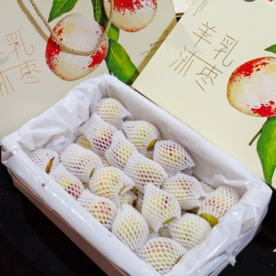 新货羊乳沐枣冬枣礼盒装2斤当季新鲜水果枣子青枣脆甜大枣子包邮