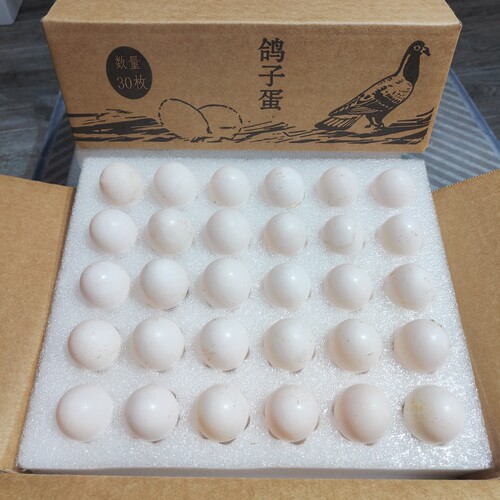 新货特鲜鸽子蛋新鲜30枚鸽蛋礼盒装农家五谷杂粮新鲜白鸽蛋包邮