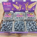 秘鲁美益粒蓝莓原箱12盒新鲜水果比安卡金标蓝莓鲜果脆甜顺丰空运