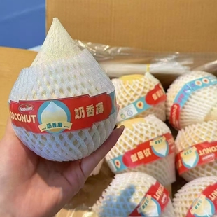 奶香椰皇原箱礼盒9个椰子当季新鲜水果椰青奶香浓郁口感清甜顺丰
