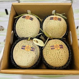 秘蜜网纹蜜瓜礼盒装 4颗新鲜水果网纹瓜蜜瓜温室哈密瓜软糯甜多汁