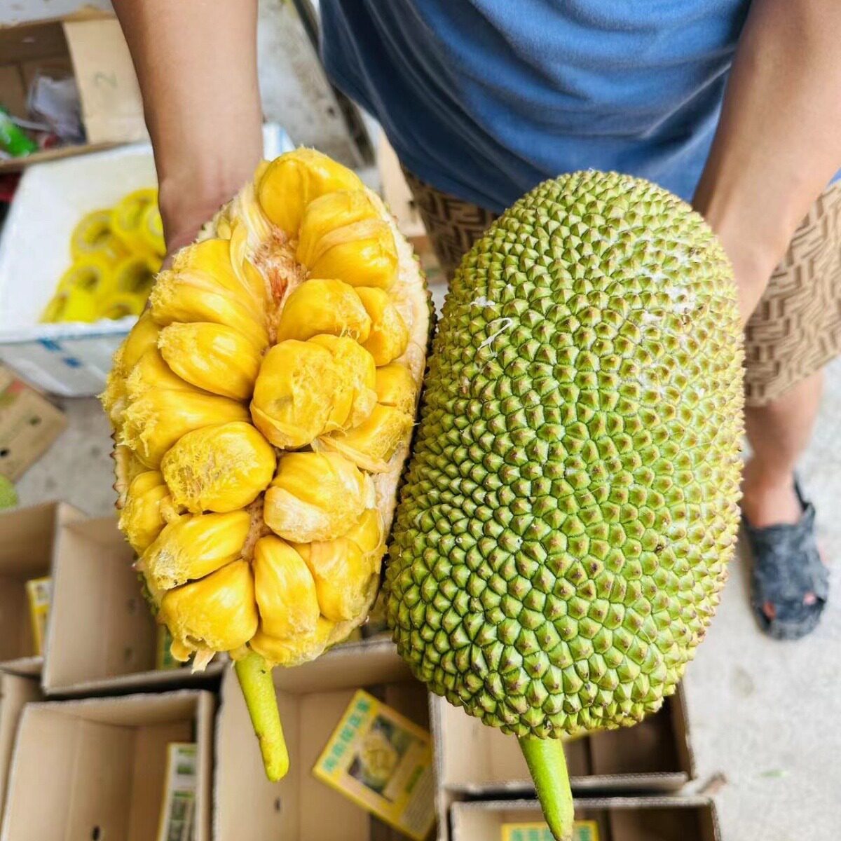 海南三亚榴莲蜜4-10斤以上海南特色水果软糯纯甜湿包自家果园直发