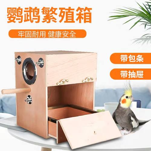 玄凤玄凤虎皮牡丹鹦鹉鸟用繁殖箱