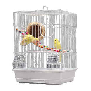 虎皮鹦鹉鸟笼子文鸟珍珠鸟牡丹相思观赏铁艺繁殖养殖笼小型外带笼