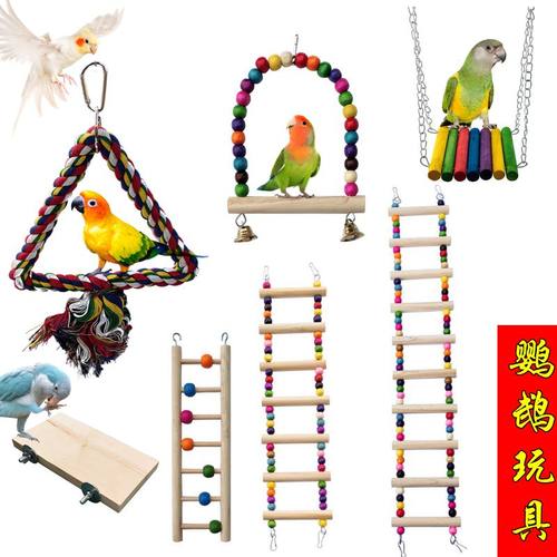鸟用鹦鹉虎皮牡丹啃咬攀爬梯子