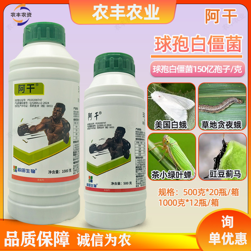 毅田生物阿干球孢白僵菌蓟马药
