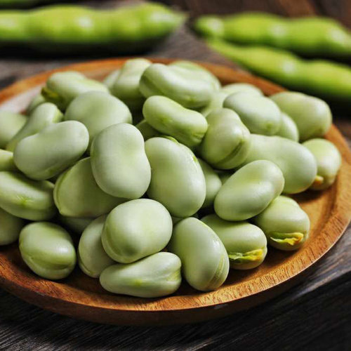 新鲜蚕豆蔬菜罗汉豆现摘